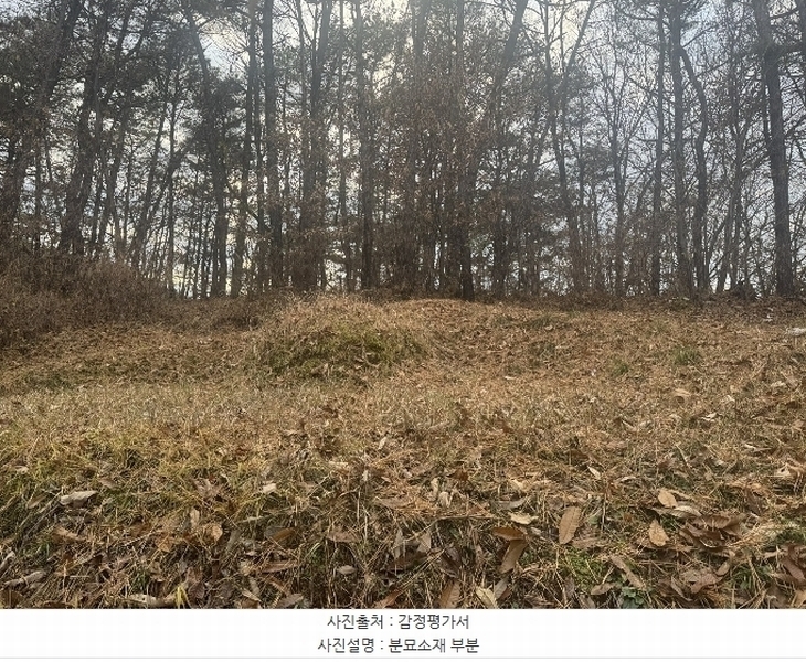 2024타경22315 충청남도 공주시 웅진동 13-7 임야 경매 이미지