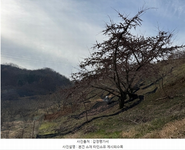 2024타경22360 충청남도 청양군 정산면 남천리 96 농지 경매 이미지