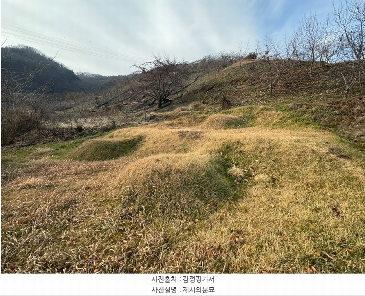 2024타경22360 충청남도 청양군 정산면 남천리 96 농지 경매 이미지