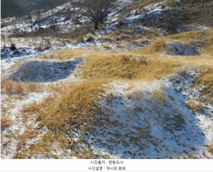 2024타경22360 충청남도 청양군 정산면 남천리 96 농지 경매 이미지