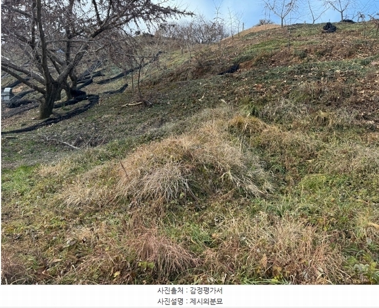 2024타경22360 충청남도 청양군 정산면 남천리 96 농지 경매 이미지