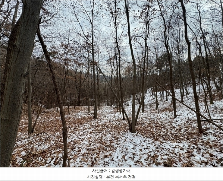 2024타경22384 충청남도 공주시 이인면 신영리 산22 임야 경매 이미지