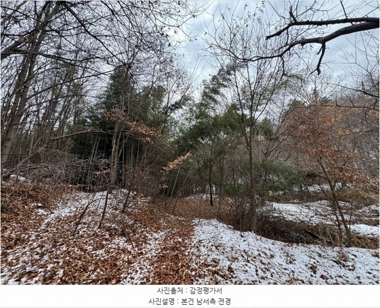 2024타경22384 충청남도 공주시 이인면 신영리 산22 임야 경매 이미지