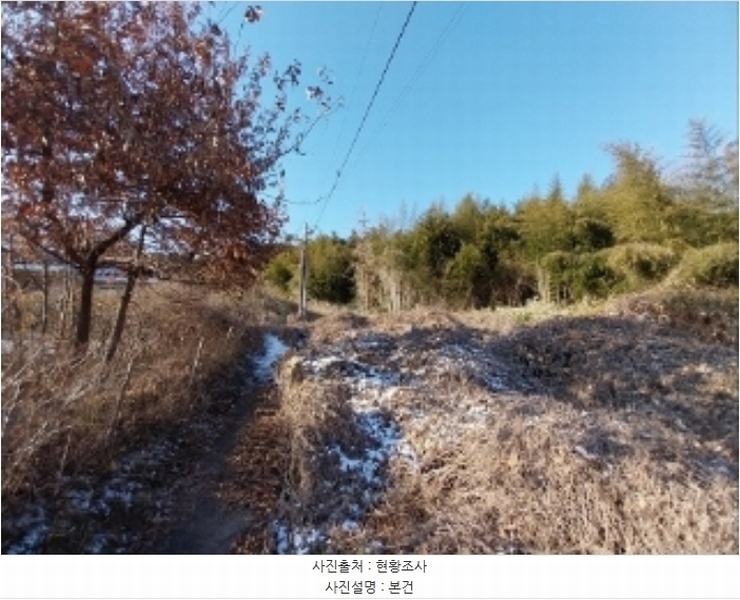2024타경22384 충청남도 공주시 이인면 신영리 산22 임야 경매 이미지
