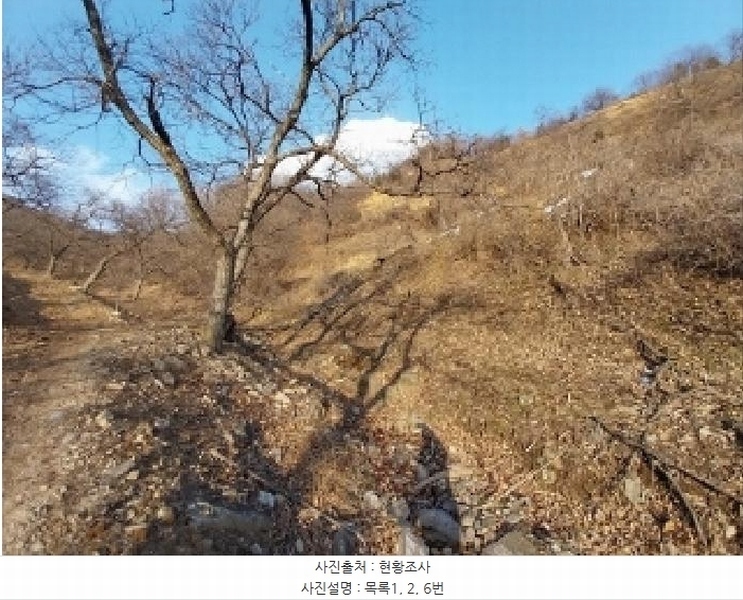 2024타경22506 충청남도 공주시 정안면 태성리 산22-1 임야 경매 이미지