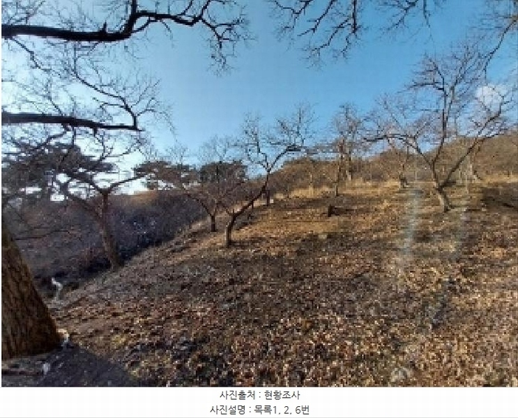 2024타경22506 충청남도 공주시 정안면 태성리 산22-1 임야 경매 이미지