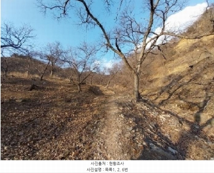 2024타경22506 충청남도 공주시 정안면 태성리 산22-1 임야 경매 이미지