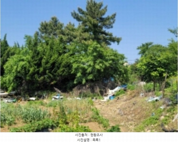 2024타경22520 경상남도 통영시 미수동 410-1 농지 경매 이미지