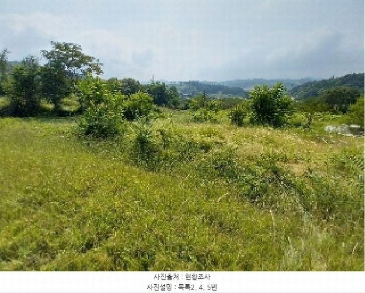 2025타경20258 충청남도 청양군 비봉면 양사리 119-2 농지 경매 이미지
