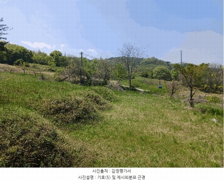 2025타경20258 충청남도 청양군 비봉면 양사리 119-2 농지 경매 이미지