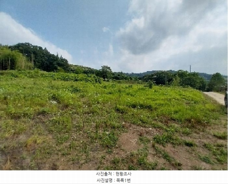 2025타경20258 충청남도 청양군 비봉면 양사리 119-2 농지 경매 이미지