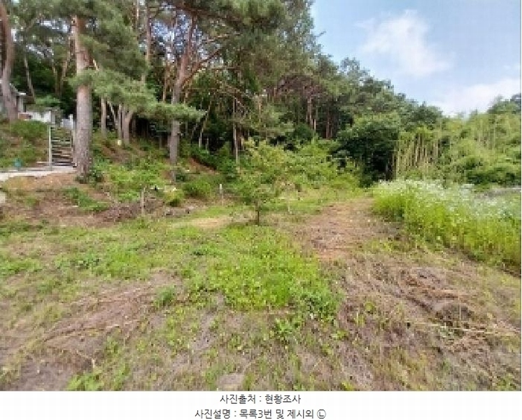 2025타경20258 충청남도 청양군 비봉면 양사리 119-2 농지 경매 이미지