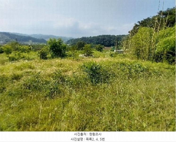 2025타경20258 충청남도 청양군 비봉면 양사리 119-2 농지 경매 이미지