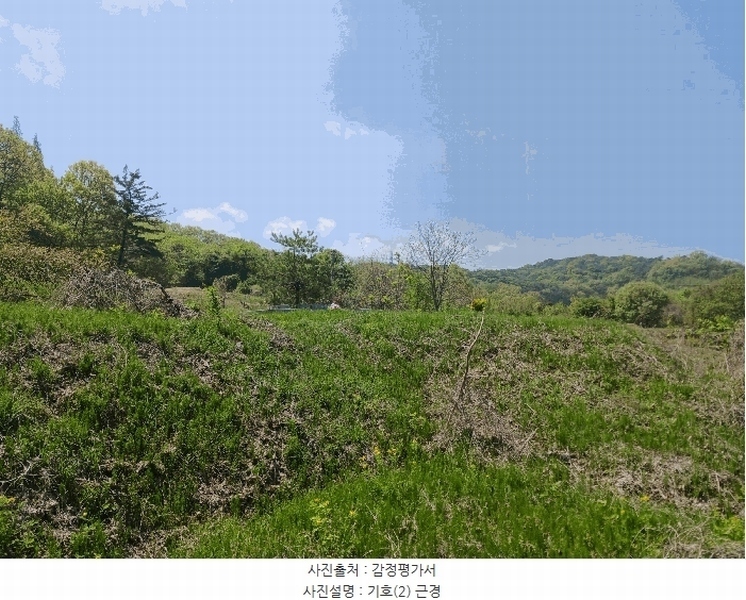 2025타경20258 충청남도 청양군 비봉면 양사리 119-2 농지 경매 이미지