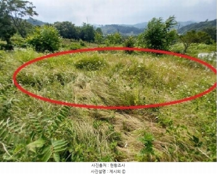 2025타경20258 충청남도 청양군 비봉면 양사리 119-2 농지 경매 이미지