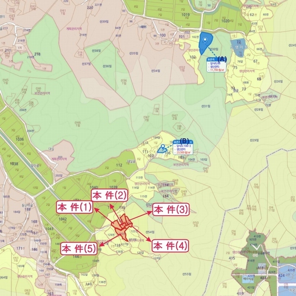 2025타경20258 충청남도 청양군 비봉면 양사리 119-2 농지 경매 이미지