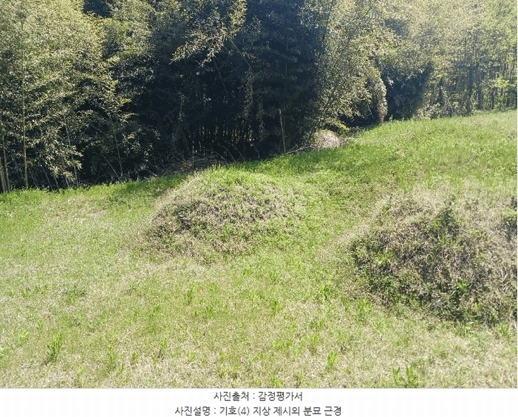 2025타경20258 충청남도 청양군 비봉면 양사리 119-2 농지 경매 이미지