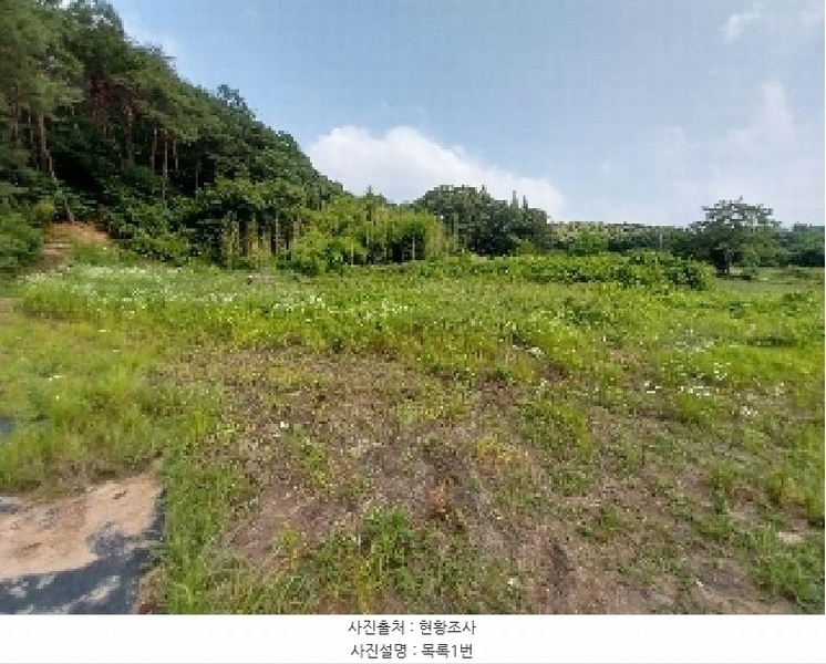 2025타경20258 충청남도 청양군 비봉면 양사리 119-2 농지 경매 이미지
