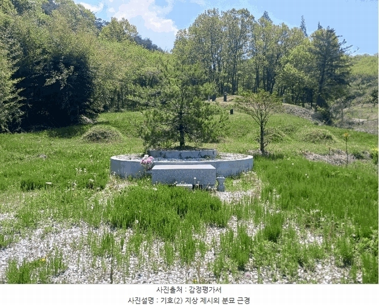 2025타경20258 충청남도 청양군 비봉면 양사리 119-2 농지 경매 이미지
