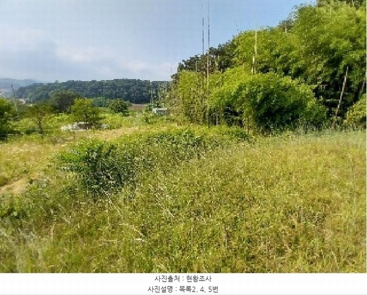 2025타경20258 충청남도 청양군 비봉면 양사리 119-2 농지 경매 이미지
