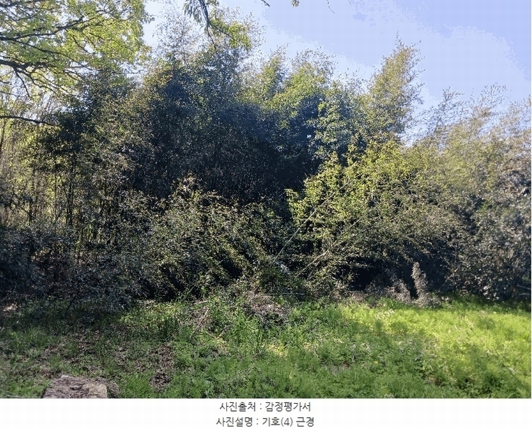 2025타경20258 충청남도 청양군 비봉면 양사리 119-2 농지 경매 이미지