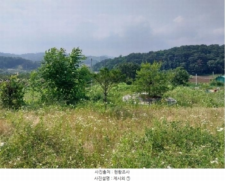 2025타경20258 충청남도 청양군 비봉면 양사리 119-2 농지 경매 이미지