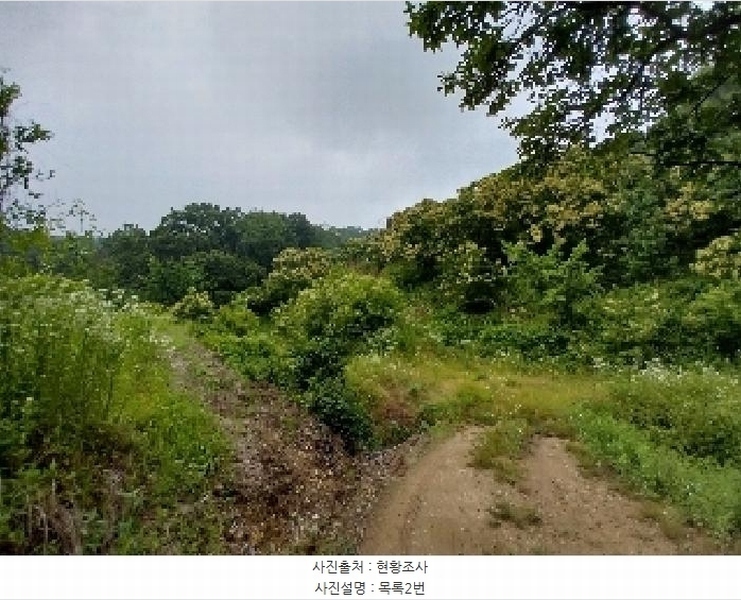 2025타경20268 충청남도 공주시 우성면 목천리 산81-1 임야 경매 이미지