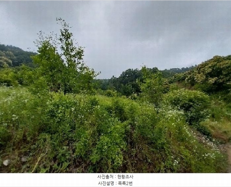 2025타경20268 충청남도 공주시 우성면 목천리 산81-1 임야 경매 이미지