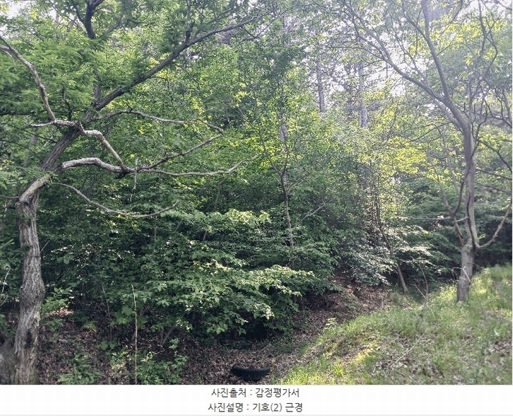 2025타경20275 충청남도 공주시 이인면 신영리 458-10 임야 경매 이미지