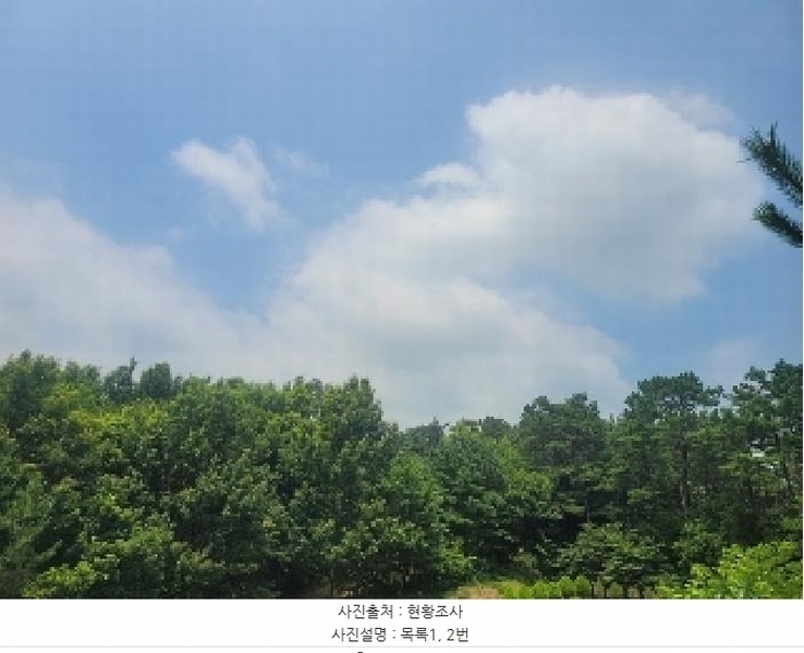 2025타경20275 충청남도 공주시 이인면 신영리 458-10 임야 경매 이미지