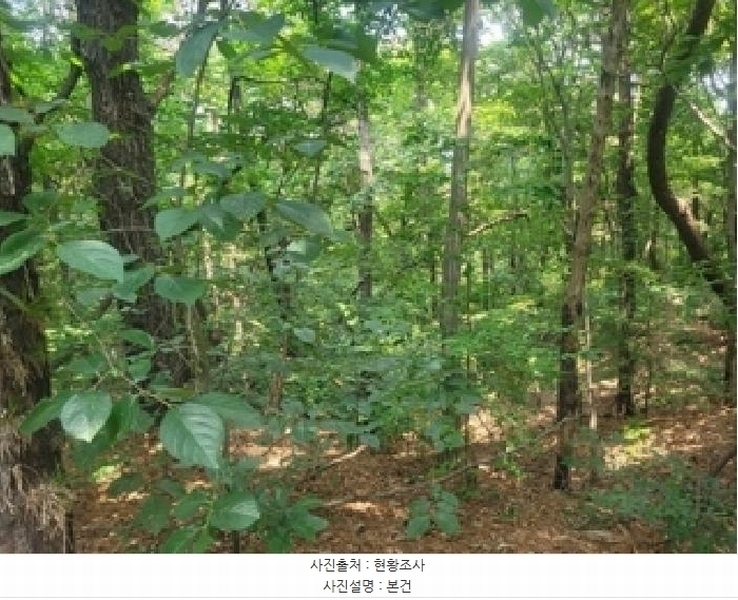 2025타경20275 충청남도 공주시 이인면 신영리 458-10 임야 경매 이미지