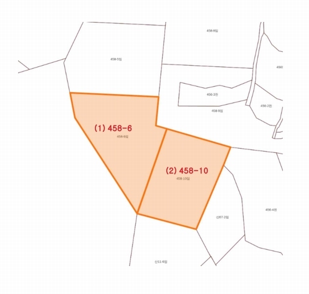 2025타경20275 충청남도 공주시 이인면 신영리 458-10 임야 경매 이미지