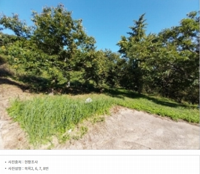 2025타경20424 충청남도 공주시 의당면 월곡리 185-1 과수원 경매 이미지