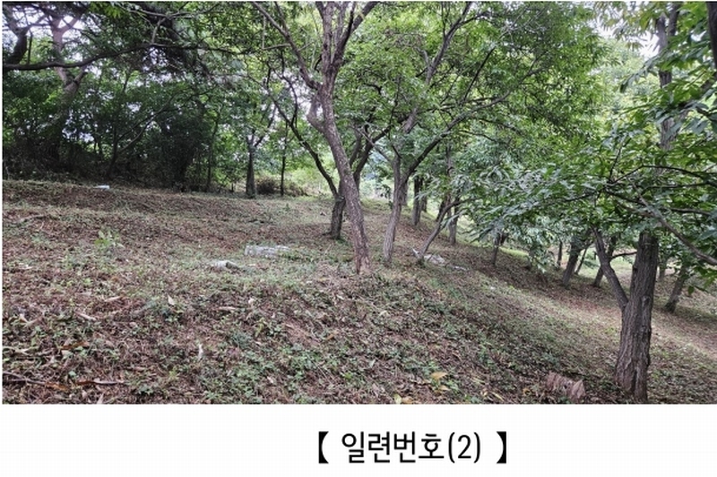2025타경20424 충청남도 공주시 의당면 월곡리 185-1 과수원 경매 이미지