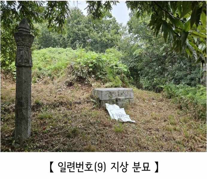 2025타경20424 충청남도 공주시 의당면 월곡리 185-1 과수원 경매 이미지