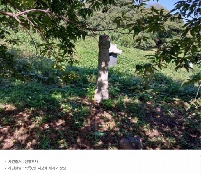 2025타경20424 충청남도 공주시 의당면 월곡리 185-1 과수원 경매 이미지