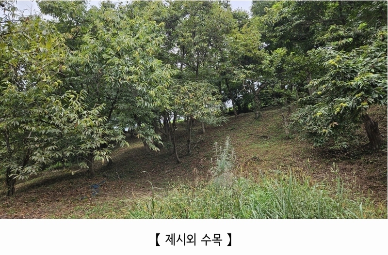 2025타경20424 충청남도 공주시 의당면 월곡리 185-1 과수원 경매 이미지