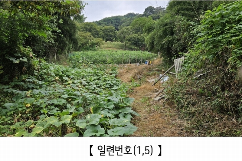2025타경20424 충청남도 공주시 의당면 월곡리 185-1 과수원 경매 이미지