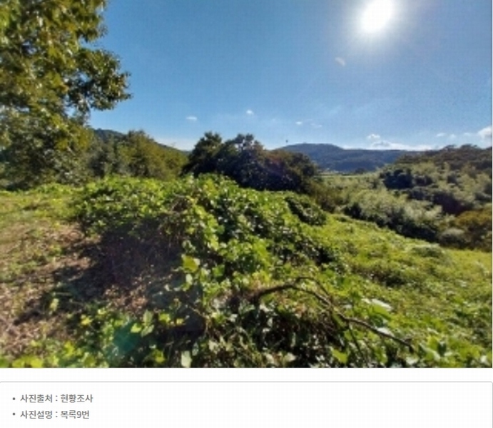 2025타경20424 충청남도 공주시 의당면 월곡리 185-1 과수원 경매 이미지