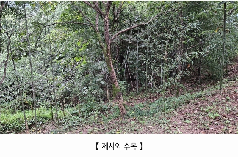 2025타경20424 충청남도 공주시 의당면 월곡리 185-1 과수원 경매 이미지