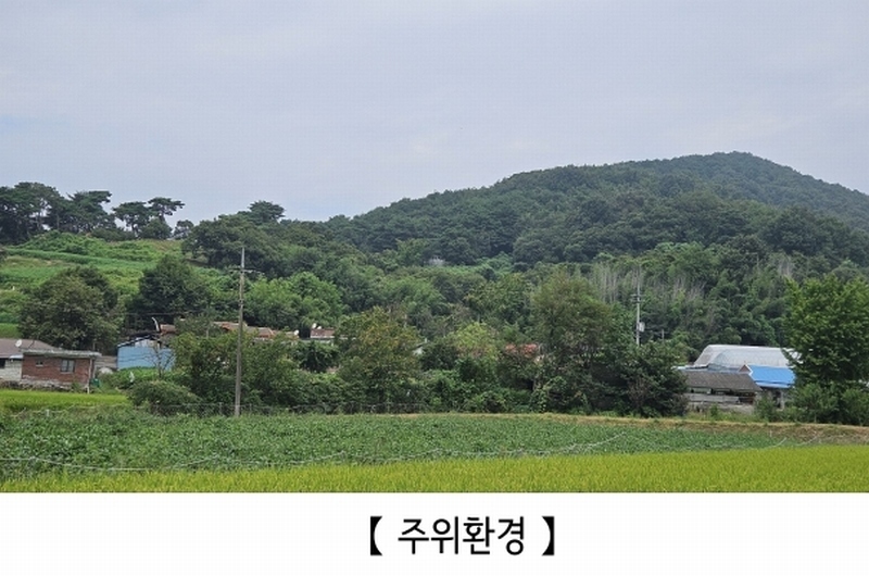 2025타경20424 충청남도 공주시 의당면 월곡리 185-1 과수원 경매 이미지
