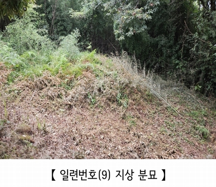 2025타경20424 충청남도 공주시 의당면 월곡리 185-1 과수원 경매 이미지
