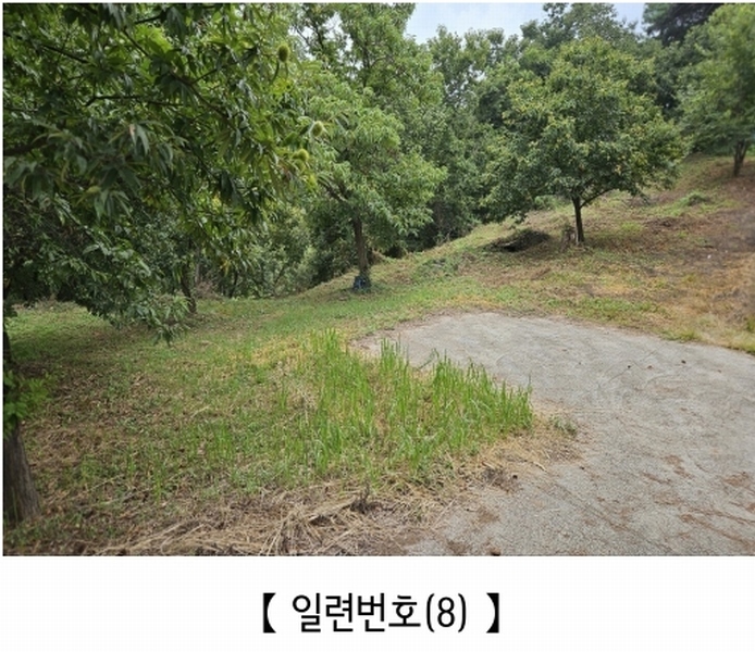 2025타경20424 충청남도 공주시 의당면 월곡리 185-1 과수원 경매 이미지