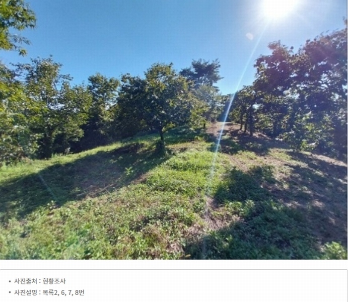 2025타경20424 충청남도 공주시 의당면 월곡리 185-1 과수원 경매 이미지