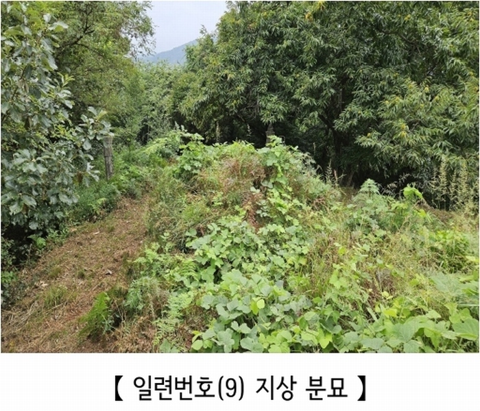 2025타경20424 충청남도 공주시 의당면 월곡리 185-1 과수원 경매 이미지