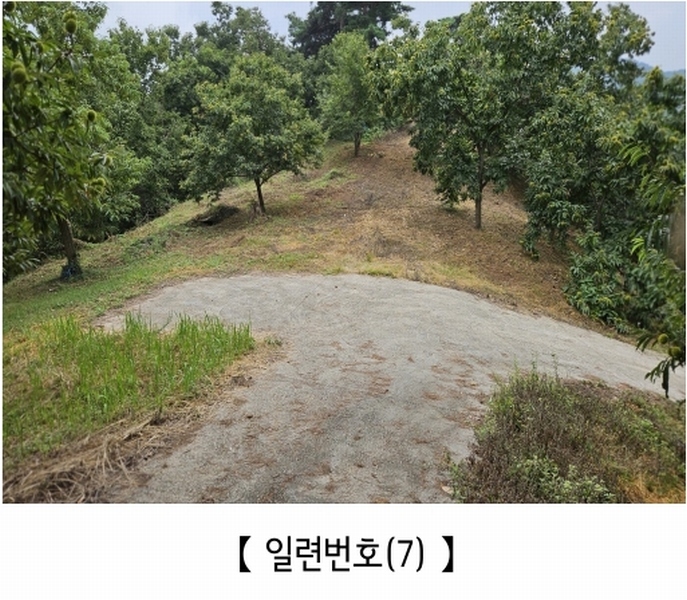 2025타경20424 충청남도 공주시 의당면 월곡리 185-1 과수원 경매 이미지