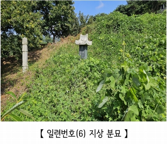 2025타경20424 충청남도 공주시 의당면 월곡리 185-1 과수원 경매 이미지