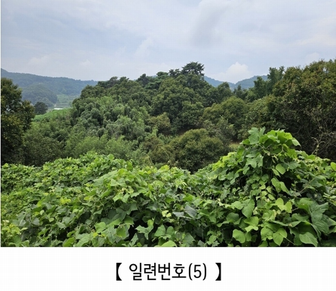 2025타경20424 충청남도 공주시 의당면 월곡리 185-1 과수원 경매 이미지