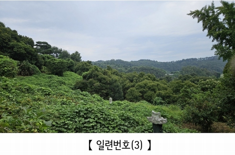 2025타경20424 충청남도 공주시 의당면 월곡리 185-1 과수원 경매 이미지