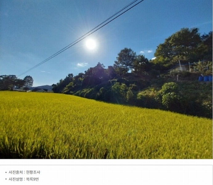 2025타경20424 충청남도 공주시 의당면 월곡리 185-1 과수원 경매 이미지